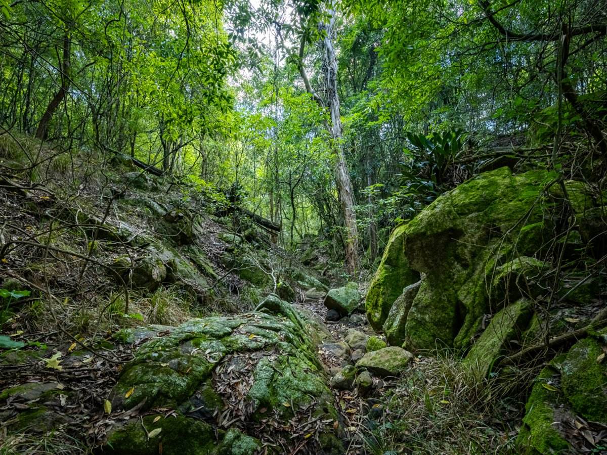 193 Black Range Road, Bega For Sale by Farmbuy.com - image 10
