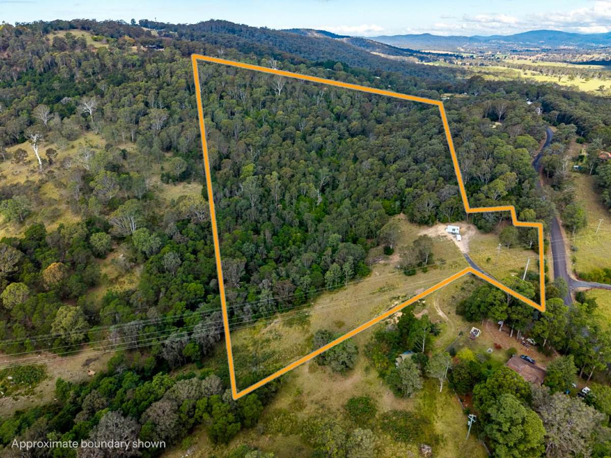 193 Black Range Road, Bega For Sale by Farmbuy.com - image 2