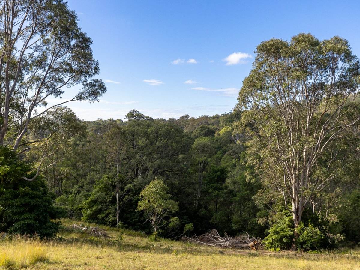 193 Black Range Road, Bega For Sale by Farmbuy.com - image 14