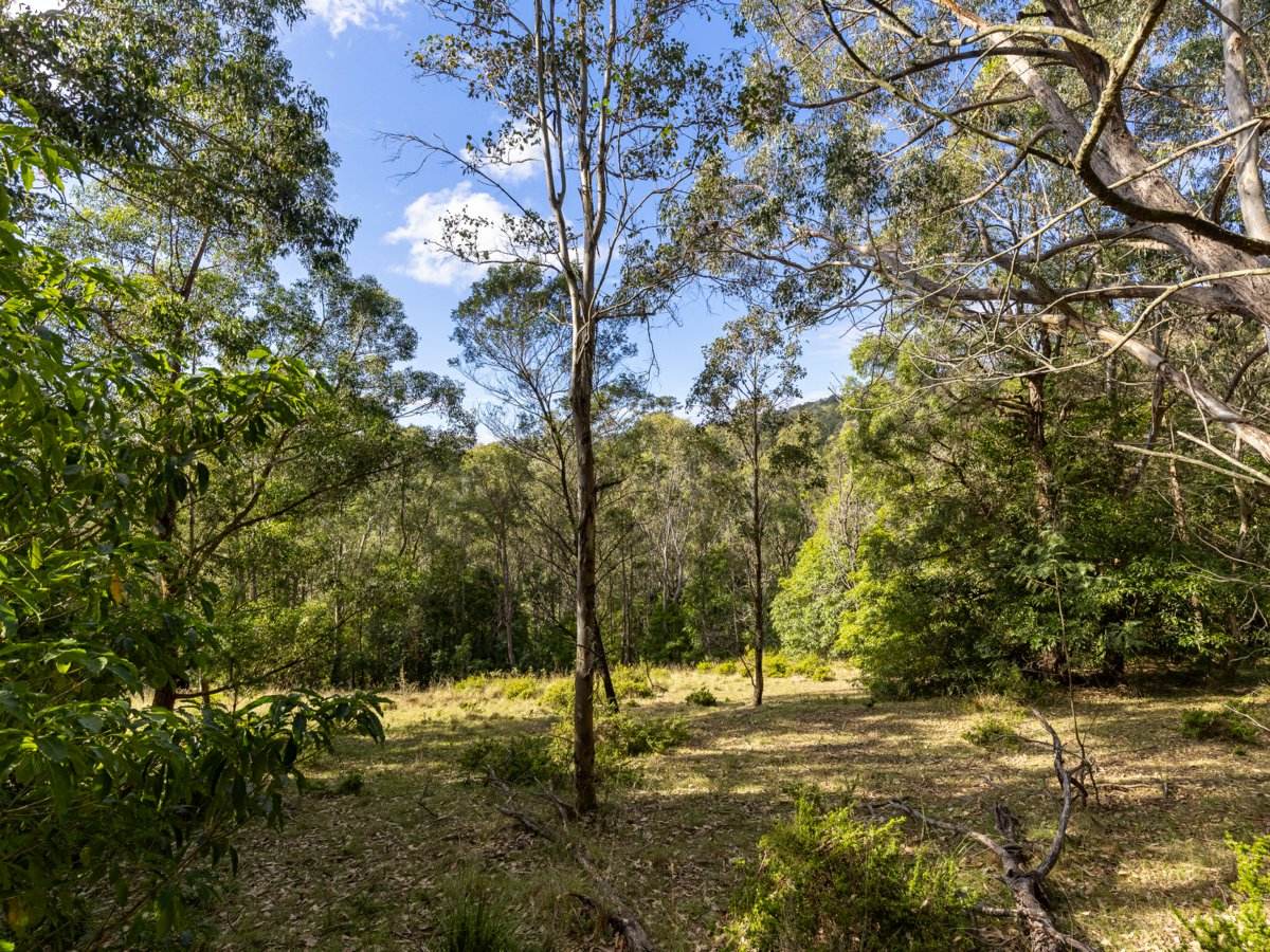 193 Black Range Road, Bega For Sale by Farmbuy.com - image 9