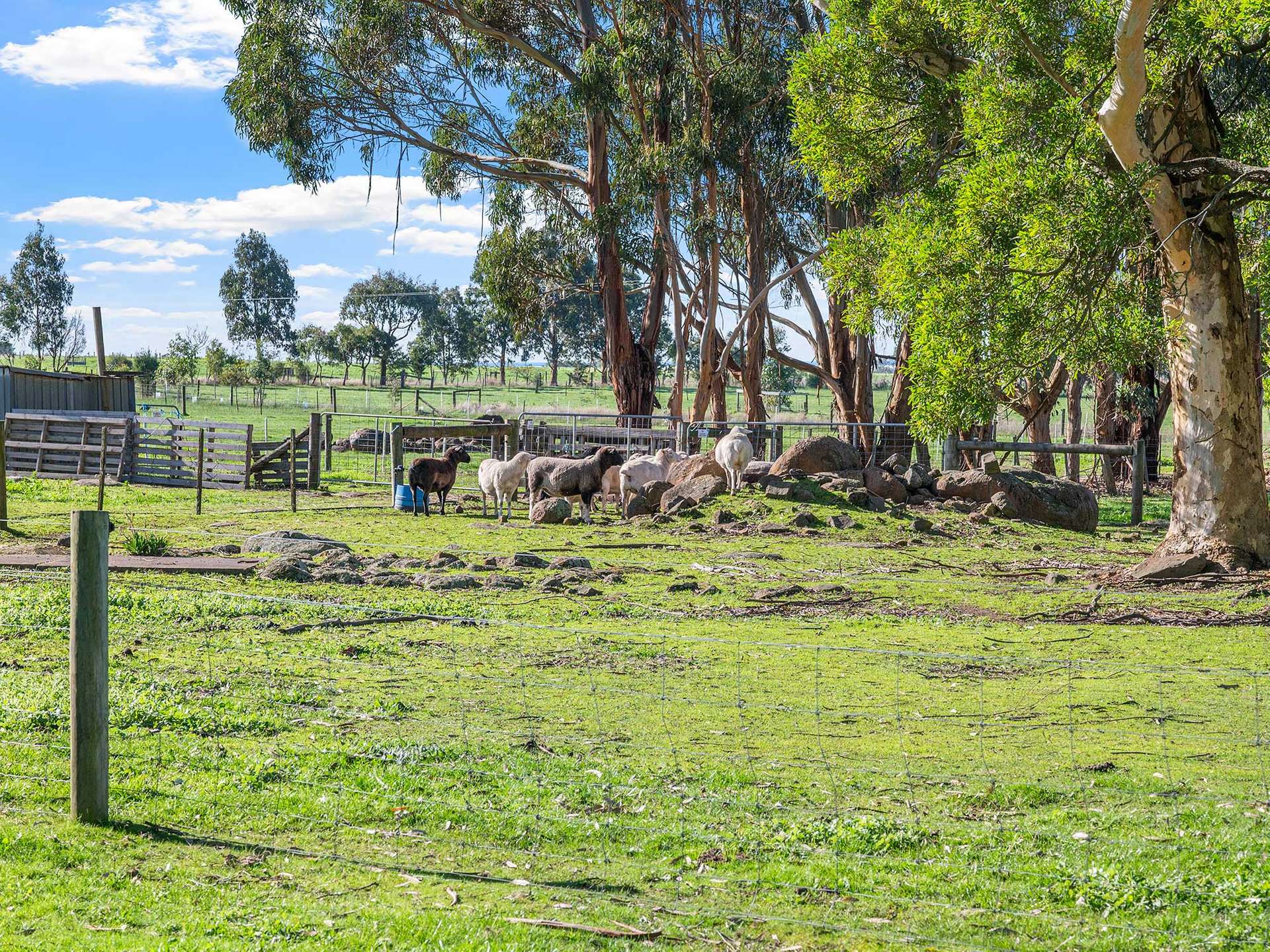 856 Koroit-Woolsthorpe Road, Woolsthorpe For Sale by Farmbuy.com - image 28