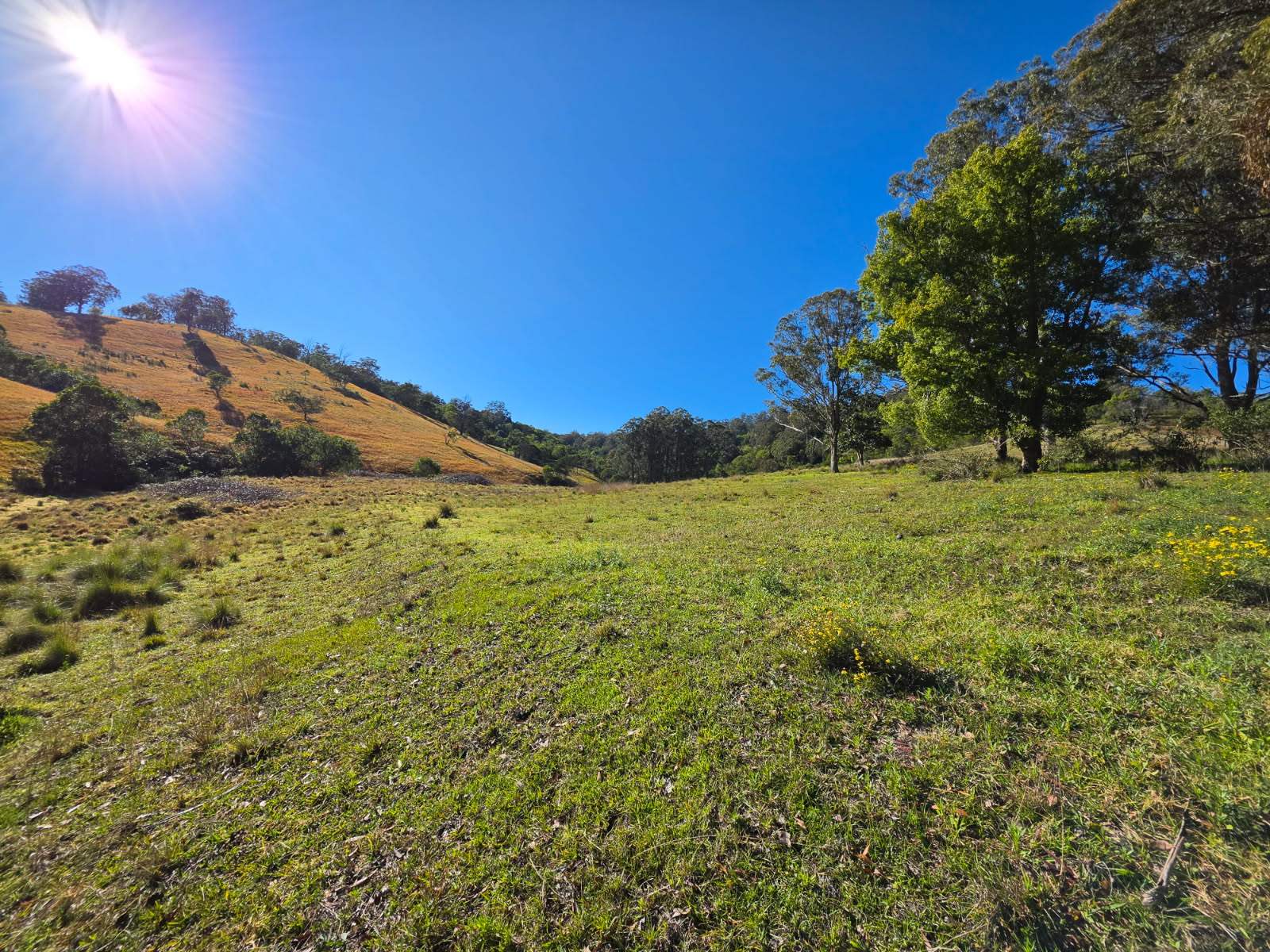 Lot 22/2035 Waukivory Road, Waukivory Auction by Farmbuy.com - image 8