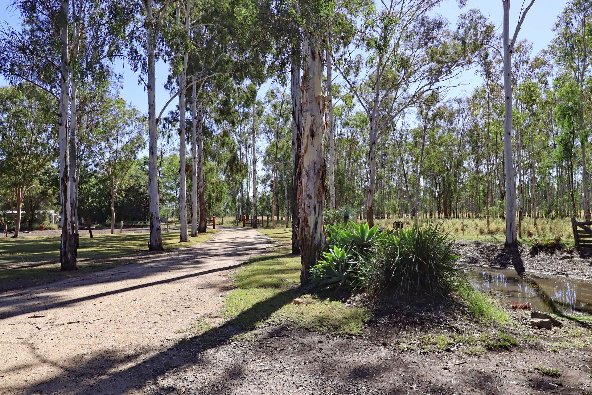 26 Calvale Road, Biloela For Sale by Farmbuy.com - image 24