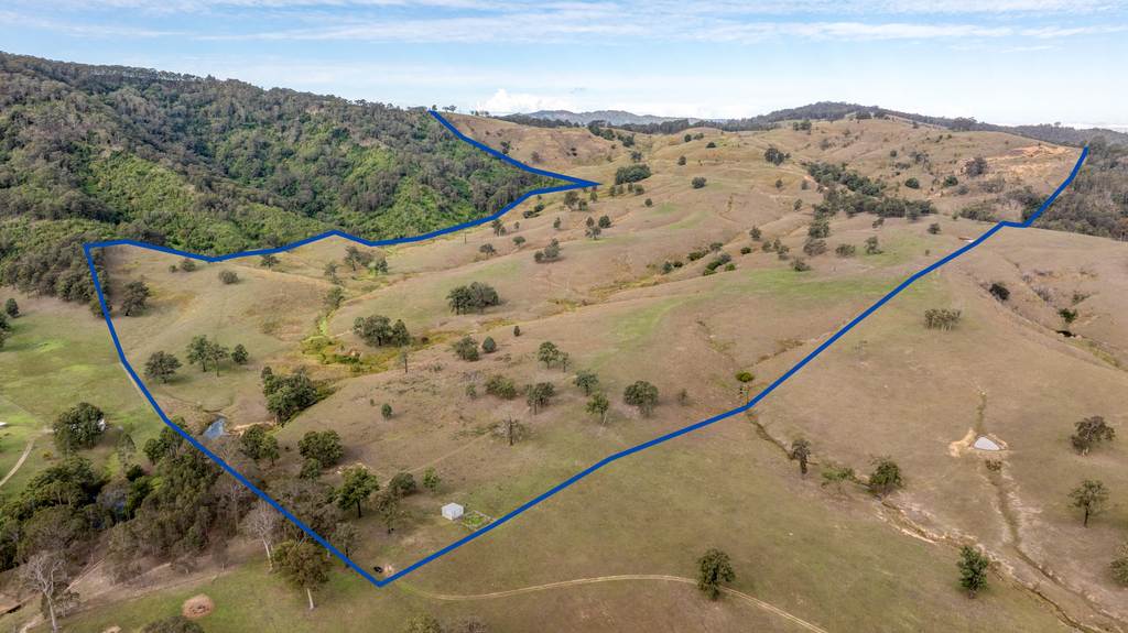 526 Torryburn Road, Torryburn NSW 2421