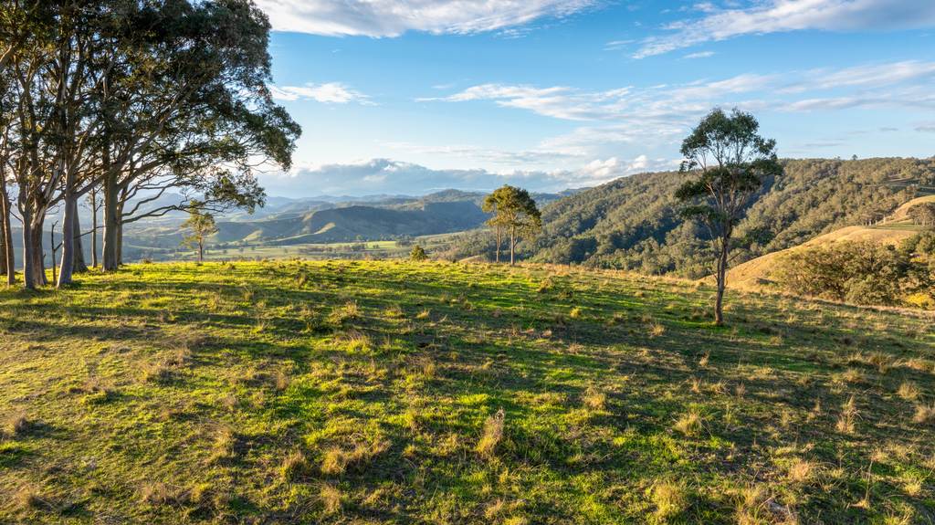 526 Torryburn Road, Torryburn NSW 2421