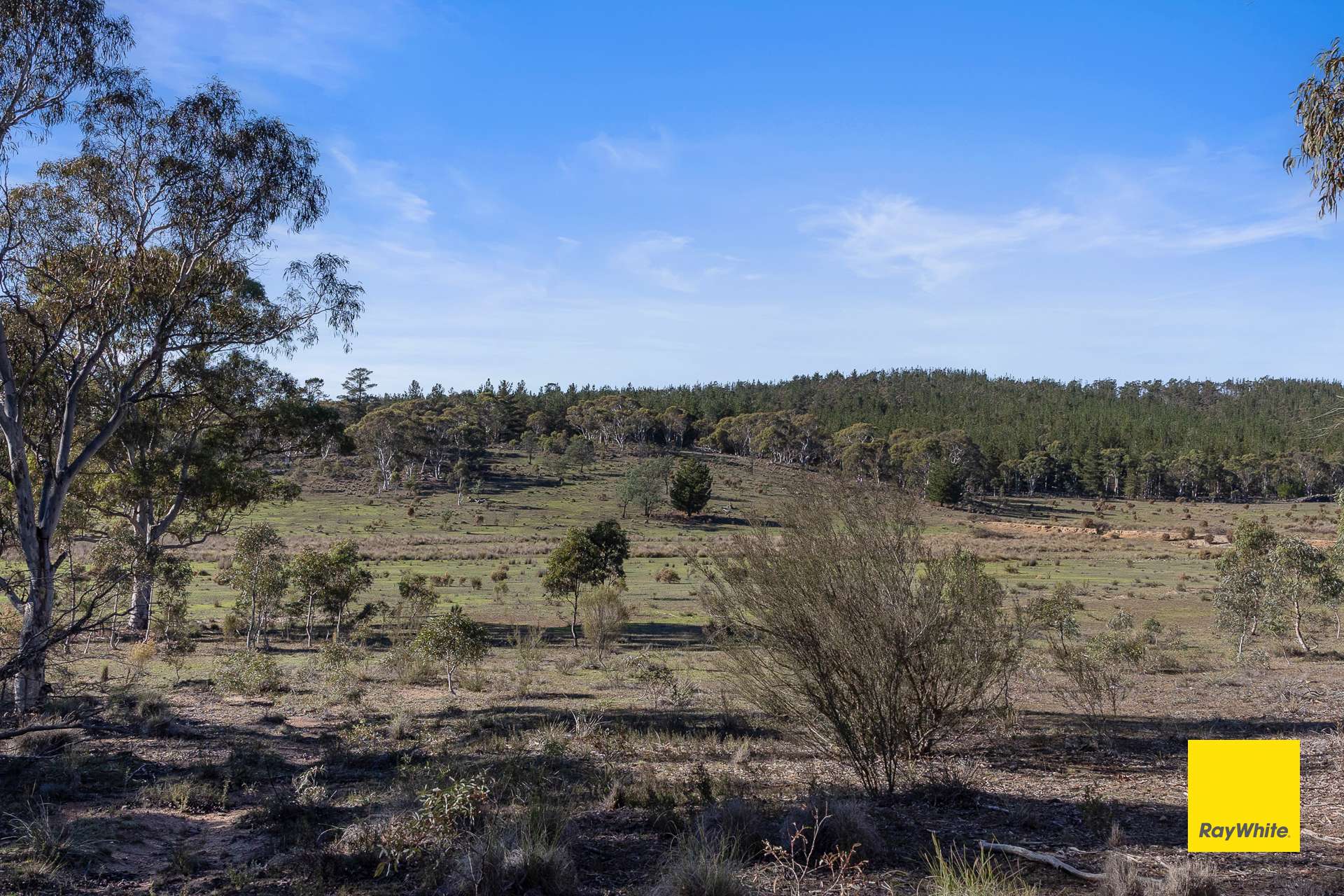 242 Bingley Way, Wamboin For Sale by Farmbuy.com - image 13