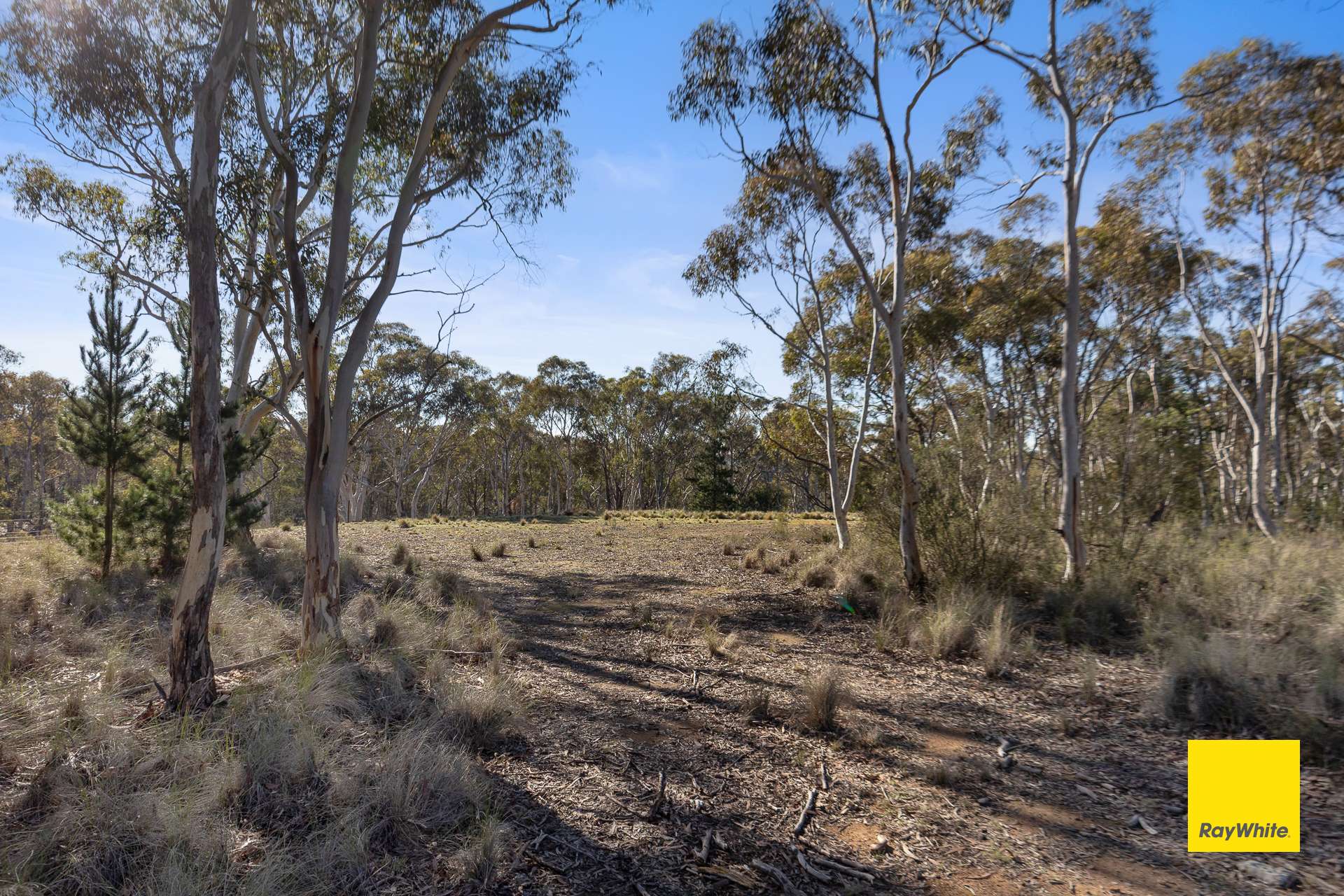 242 Bingley Way, Wamboin For Sale by Farmbuy.com - image 15