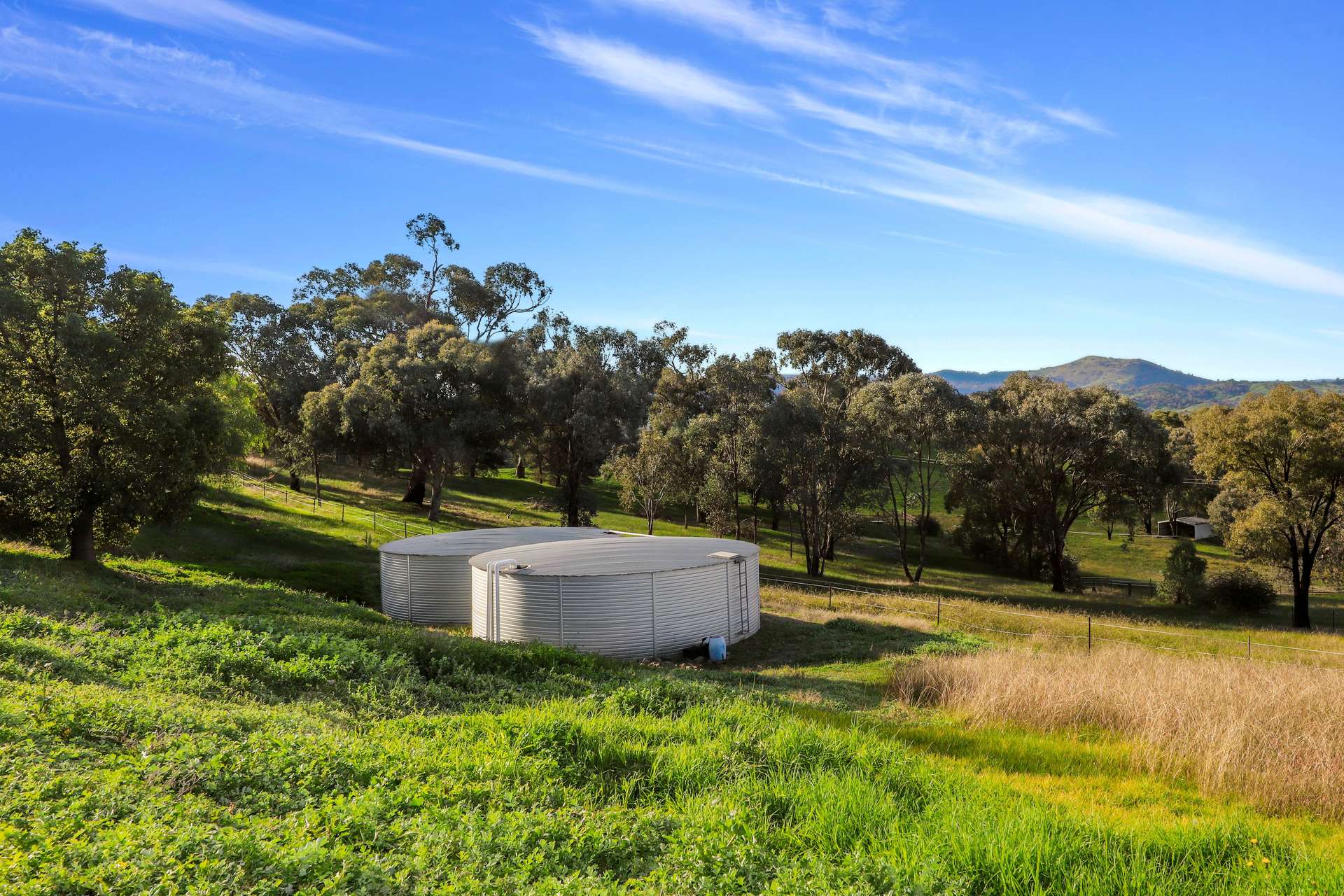 504 Gocup Road, Tumut For Sale by Farmbuy.com - image 17