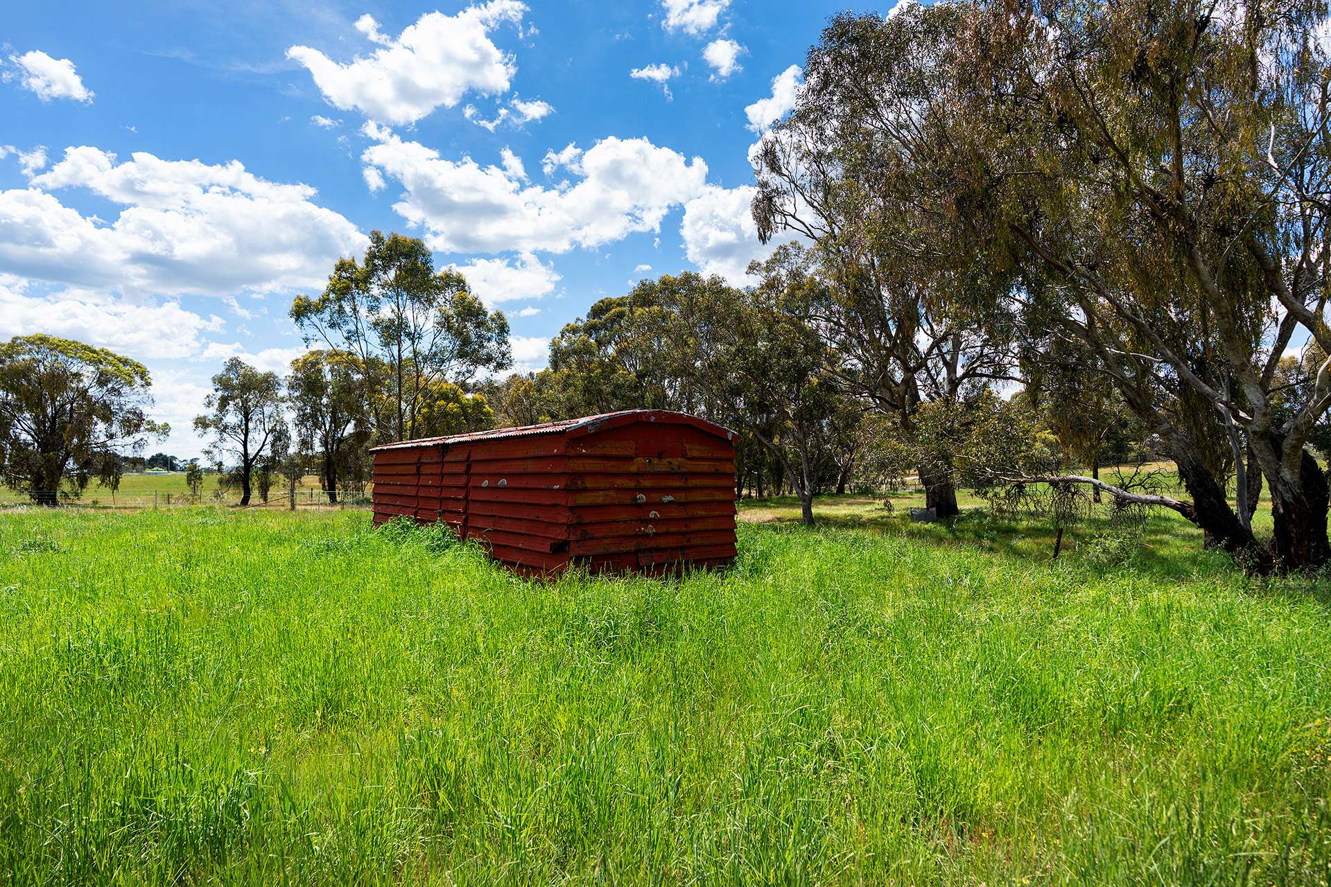 Lot 1, 2001 Creswick-Newstead Road, Campbelltown Sold by Farmbuy.com - image 6