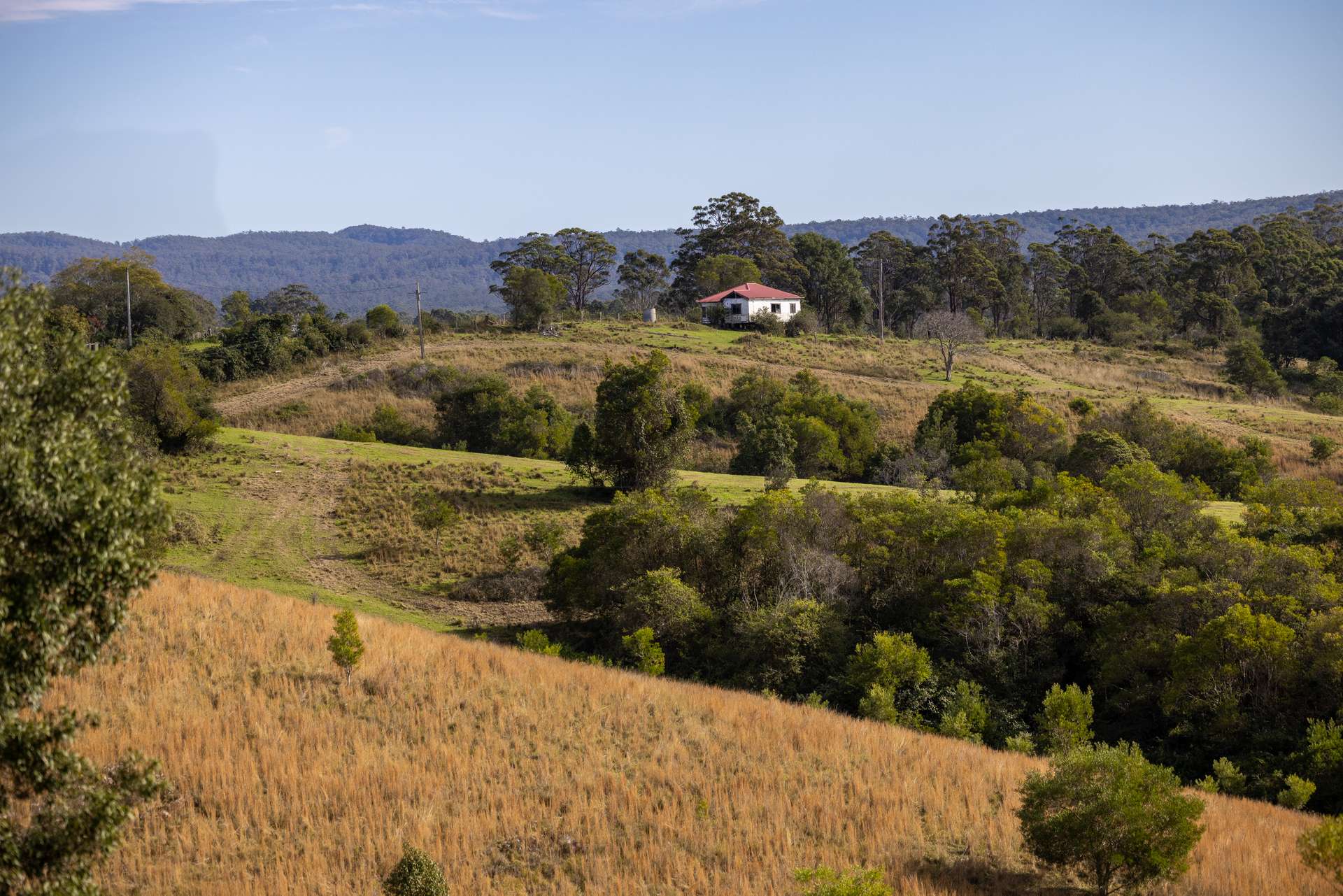 229 Wattley Hill Road, Wootton Auction by Farmbuy.com - image 8