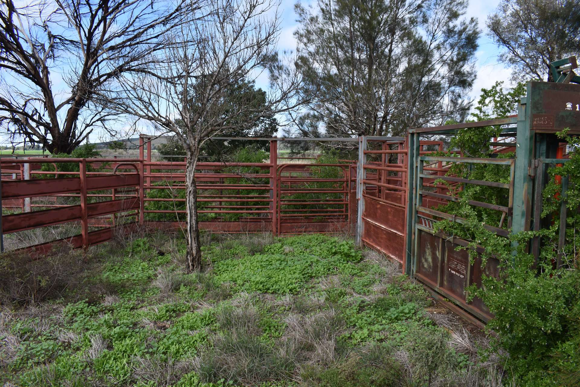 1 Gunning Gap Road, Gunning Gap For Sale by Farmbuy.com - image 19