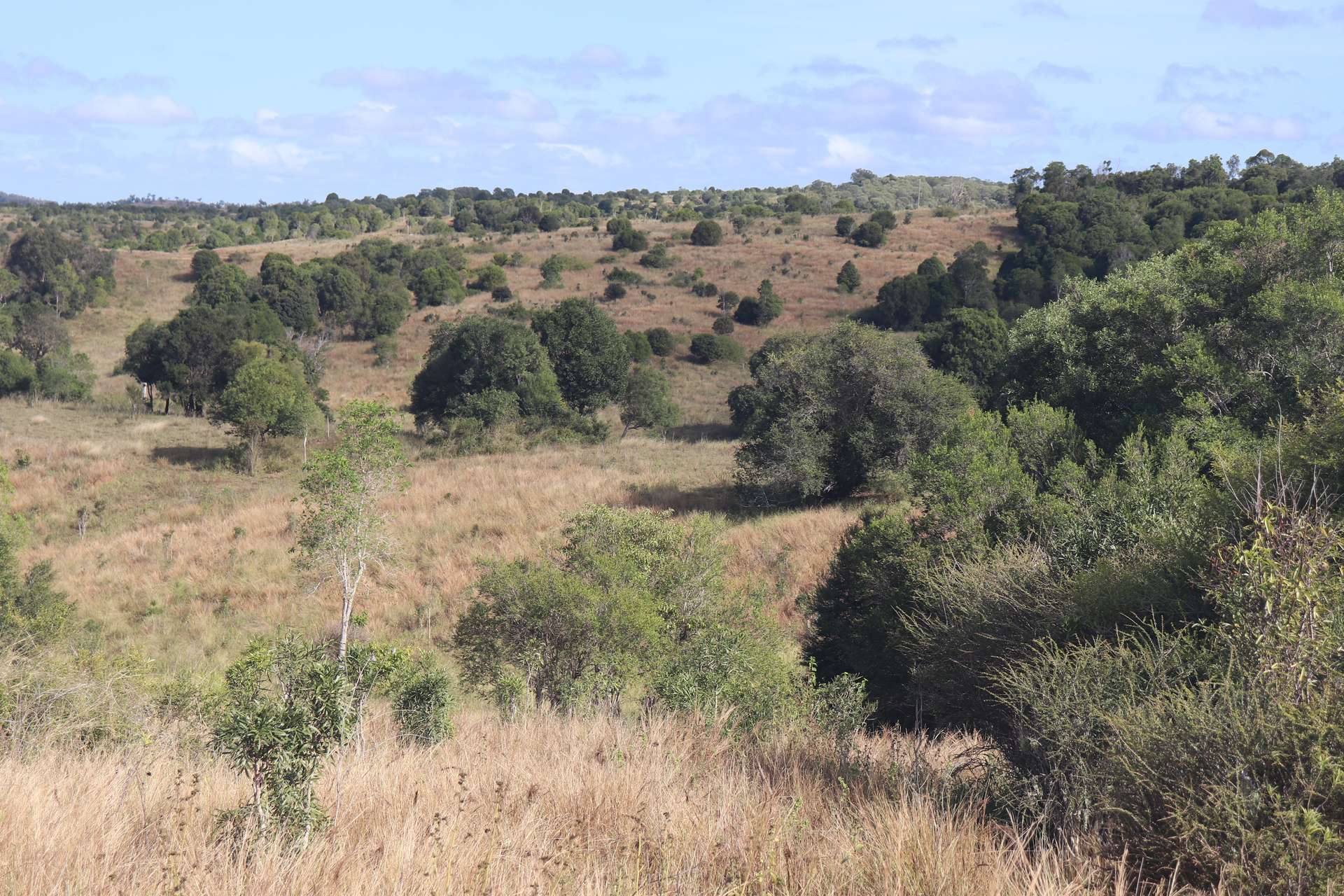 20963 Burnett Highway, Mundubbera For Sale by Farmbuy.com - image 11