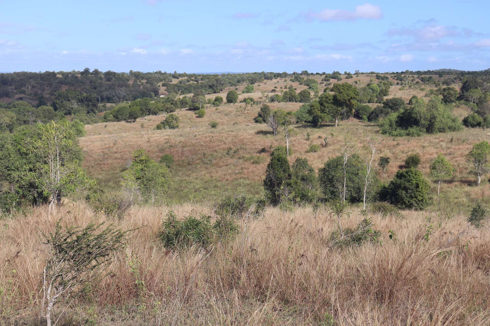 20963 Burnett Highway, Mundubbera For Sale by Farmbuy.com - image 7