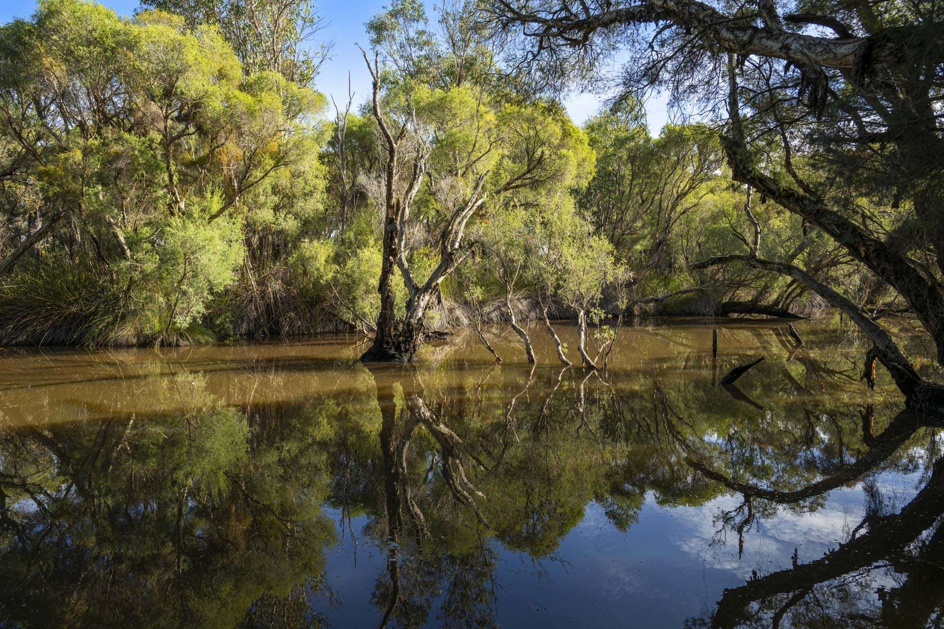305 Whitfield Springs Road, Beermullah For Sale by Farmbuy.com - image 25