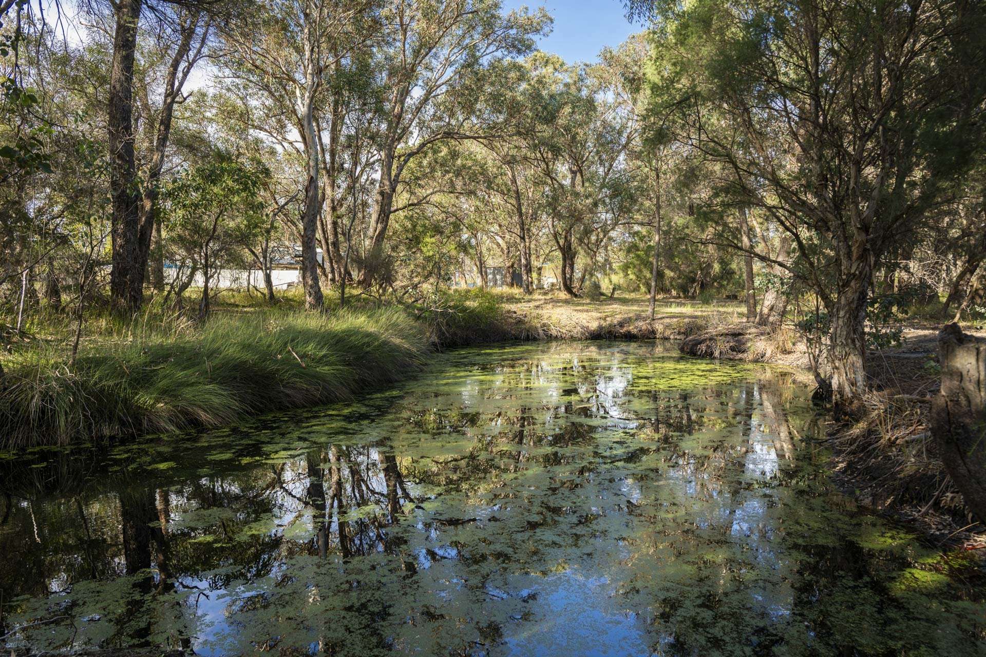 305 Whitfield Springs Road, Beermullah For Sale by Farmbuy.com - image 28