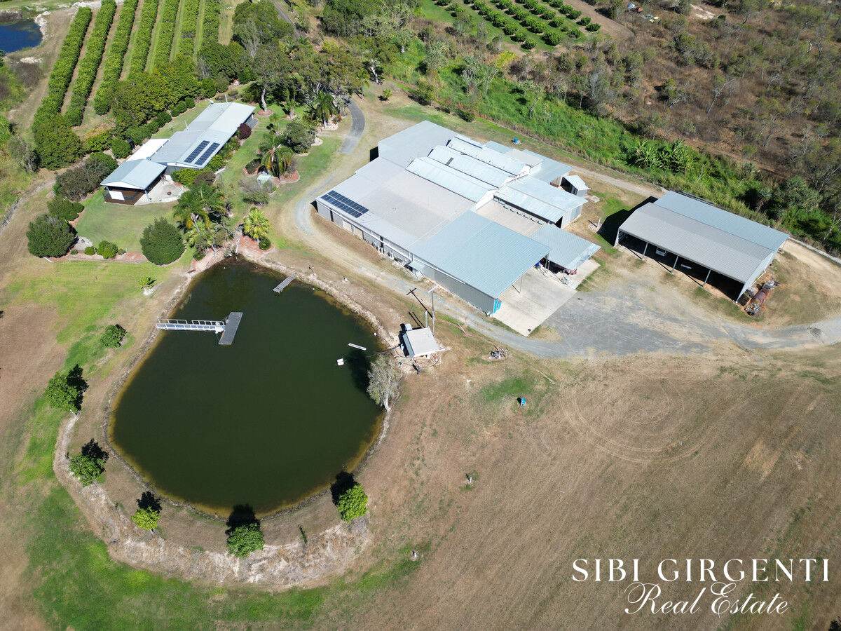 111 Mcleod Road, Mutchilba For Sale by Farmbuy.com - image 14