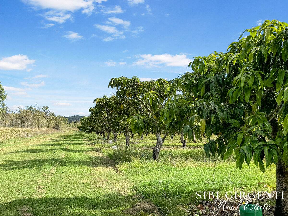 111 Mcleod Road, Mutchilba For Sale by Farmbuy.com - image 9