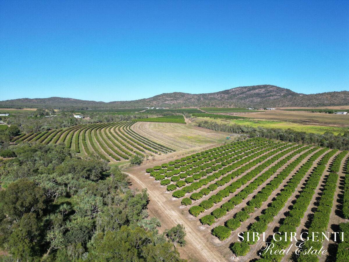 111 Mcleod Road, Mutchilba For Sale by Farmbuy.com - image 27