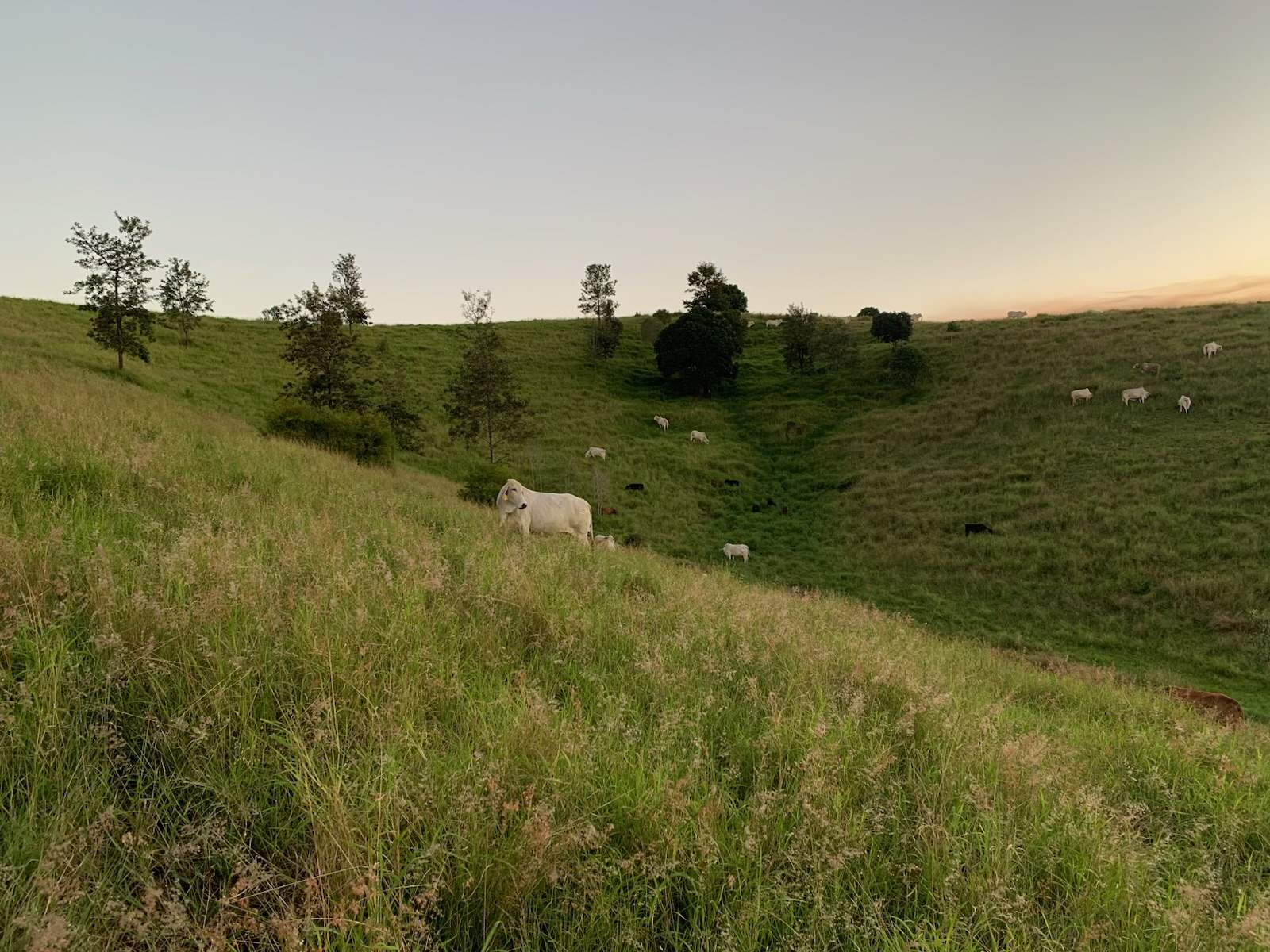 396 Kooralgin-Upper Yarraman Road, Kooralgin For Sale by Farmbuy.com - image 4