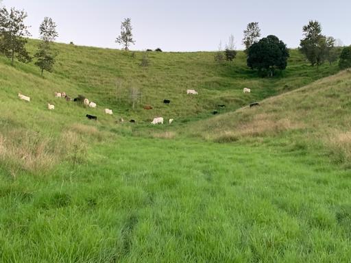 396 Kooralgin-Upper Yarraman Road, Kooralgin QLD 4402