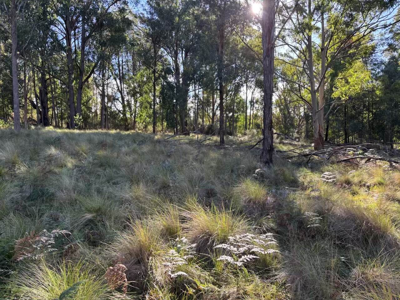 Part 9174 Thunderbolts Way, Nowendoc For Sale by Farmbuy.com - image 9