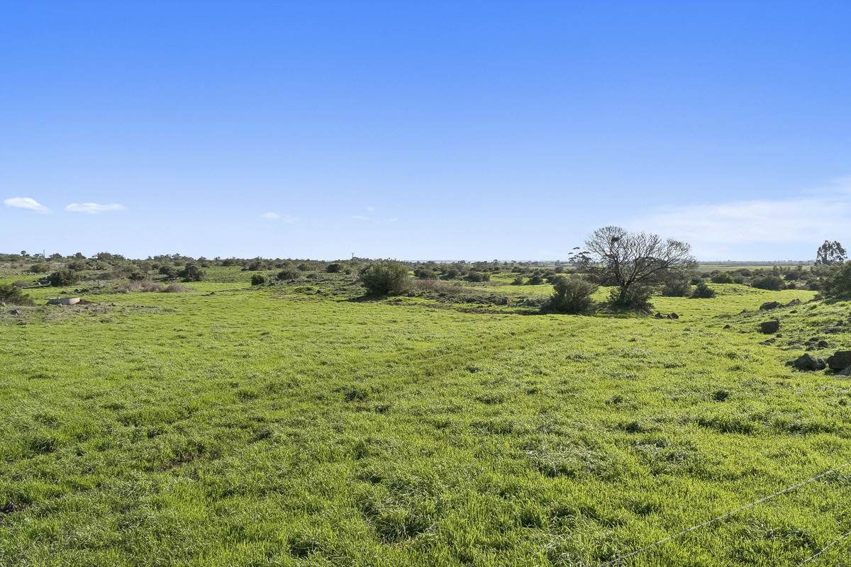 1840 Corangamite Lake Road, Dreeite For Sale by Farmbuy.com - image 8