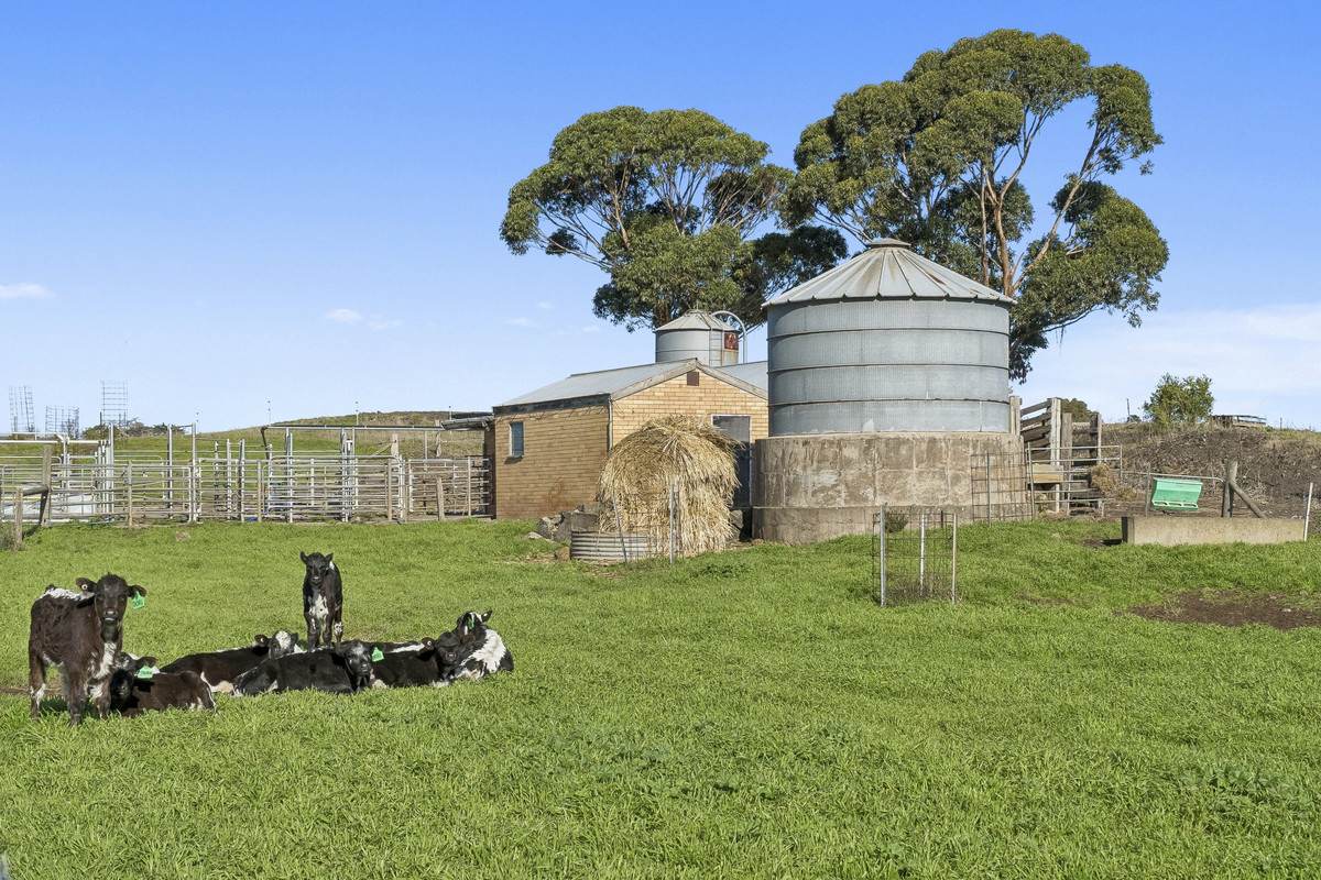 1840 Corangamite Lake Road, Dreeite For Sale by Farmbuy.com - image 7