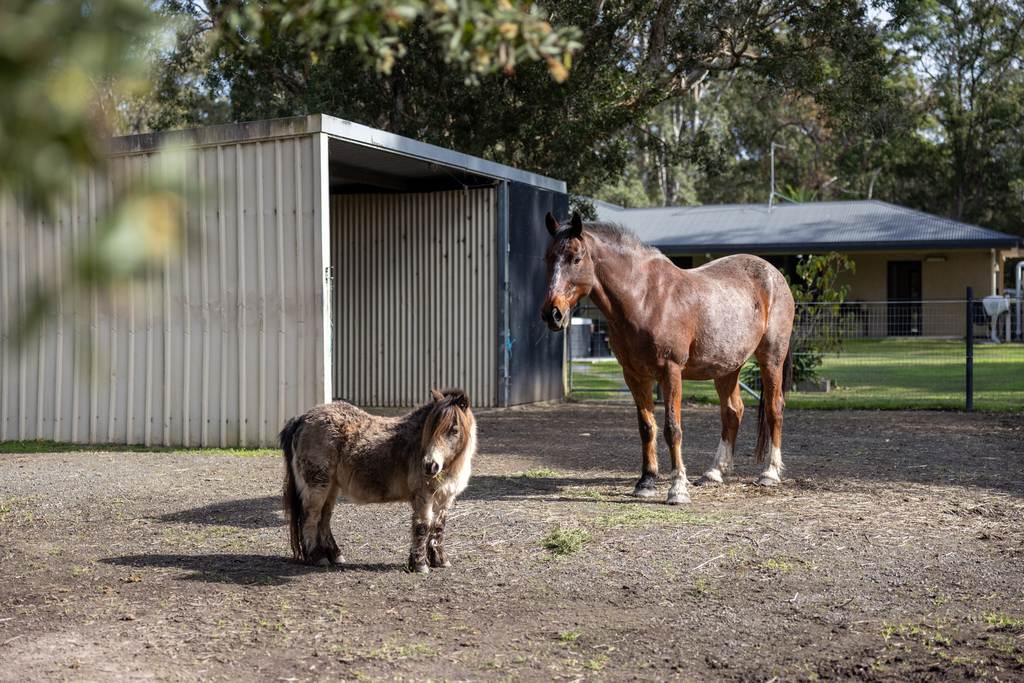 35 Old Lansdowne Road, Cundletown NSW 2430