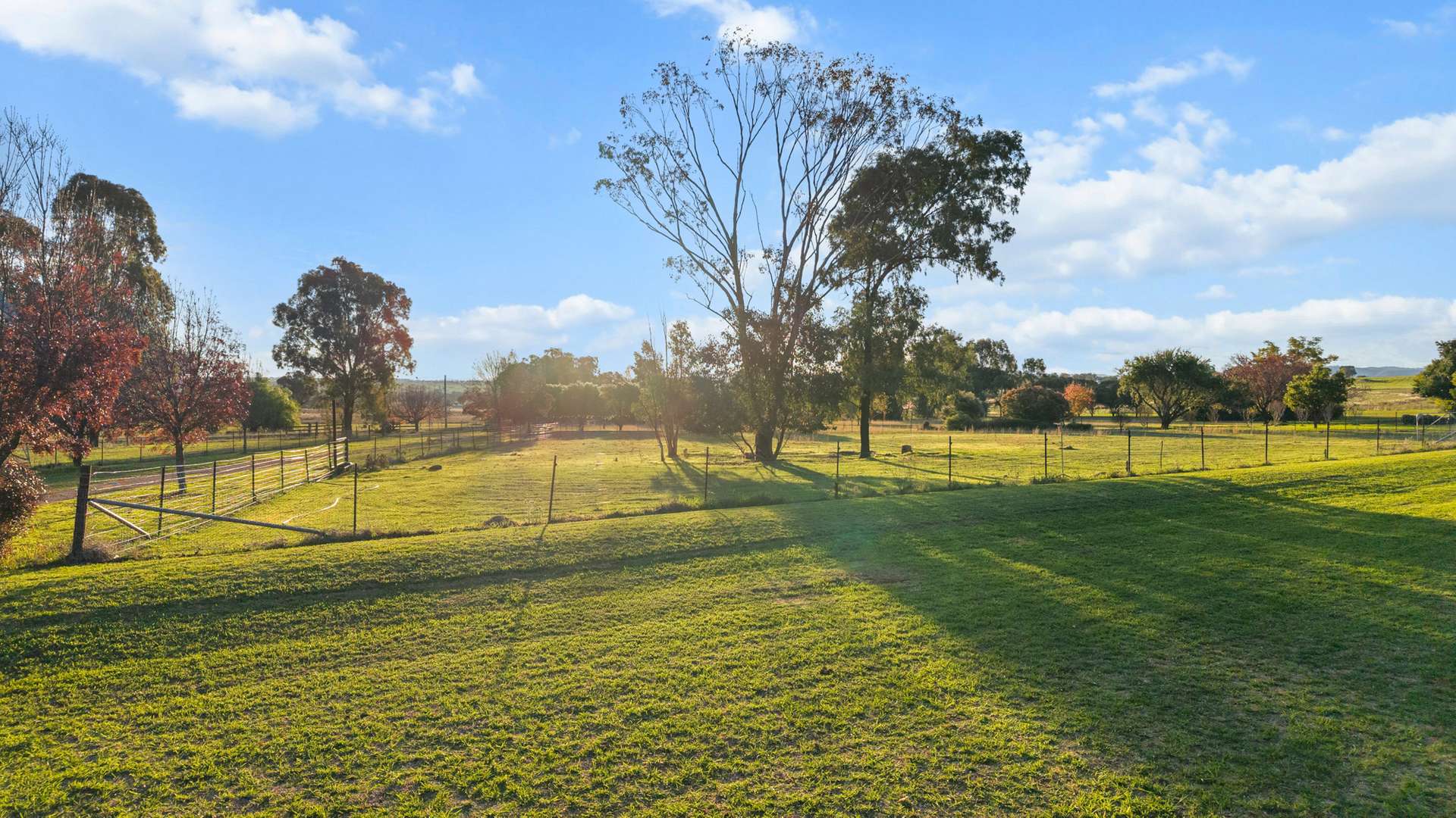 86 Meadow Banks Drive, Tamworth For Sale by Farmbuy.com - image 20