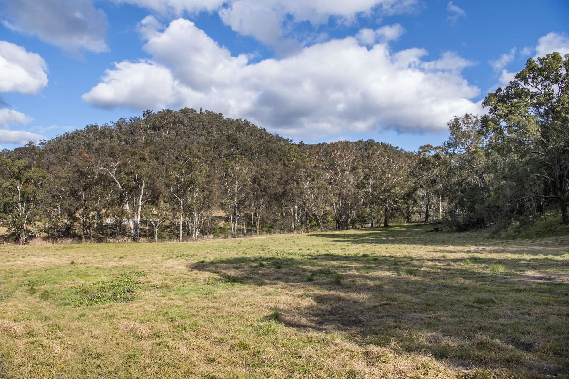 934 White Cedars Road, Mudgee For Sale by Farmbuy.com - image 5
