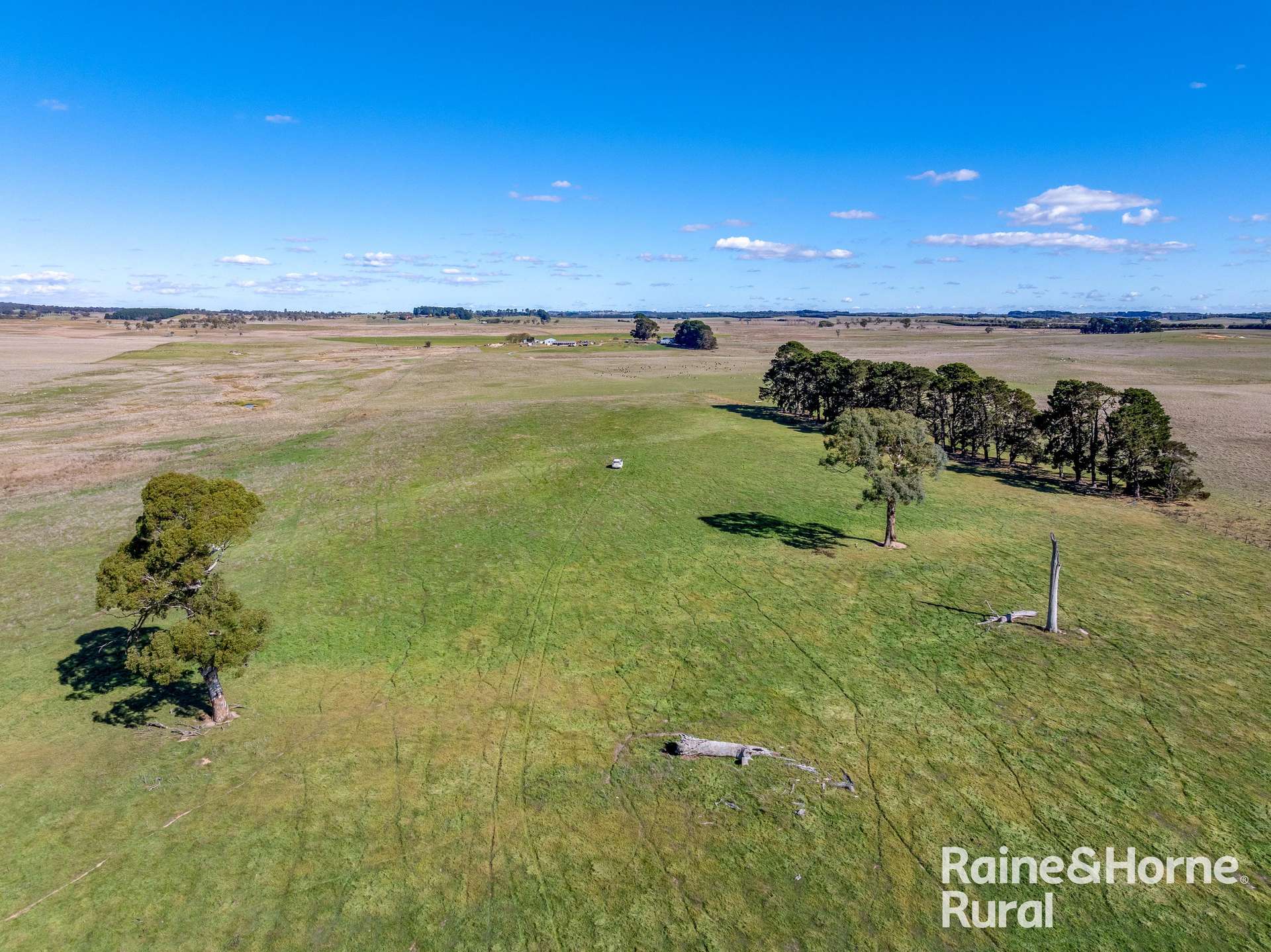 1006 Carrabungla Road, Laggan Auction by Farmbuy.com - image 15
