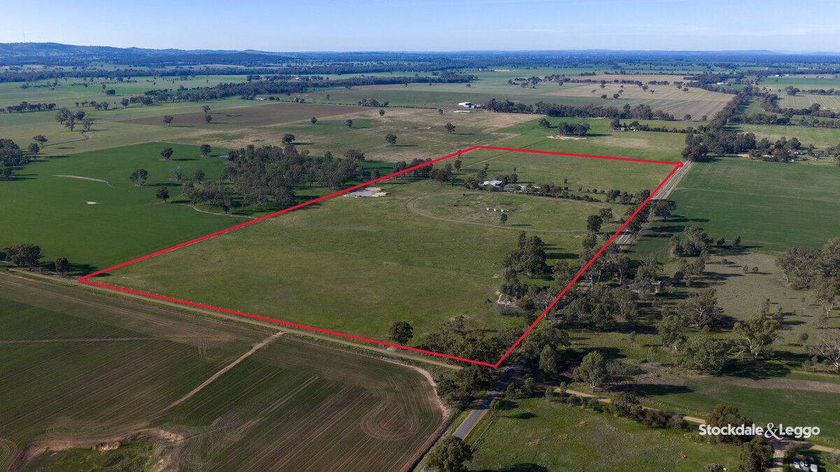 785 Bells Road, Caniambo For Sale by Farmbuy.com - image 6