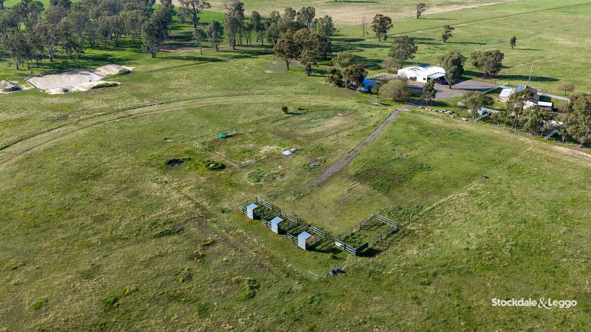 785 Bells Road, Caniambo For Sale by Farmbuy.com - image 20