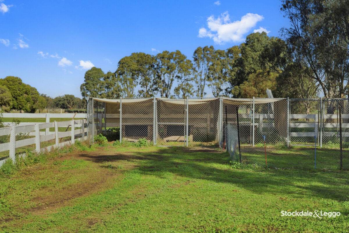 785 Bells Road, Caniambo For Sale by Farmbuy.com - image 25