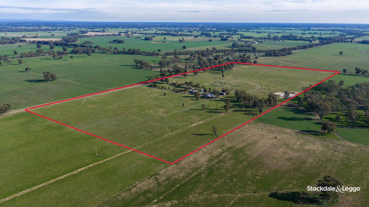 785 Bells Road, Caniambo For Sale by Farmbuy.com - image 27