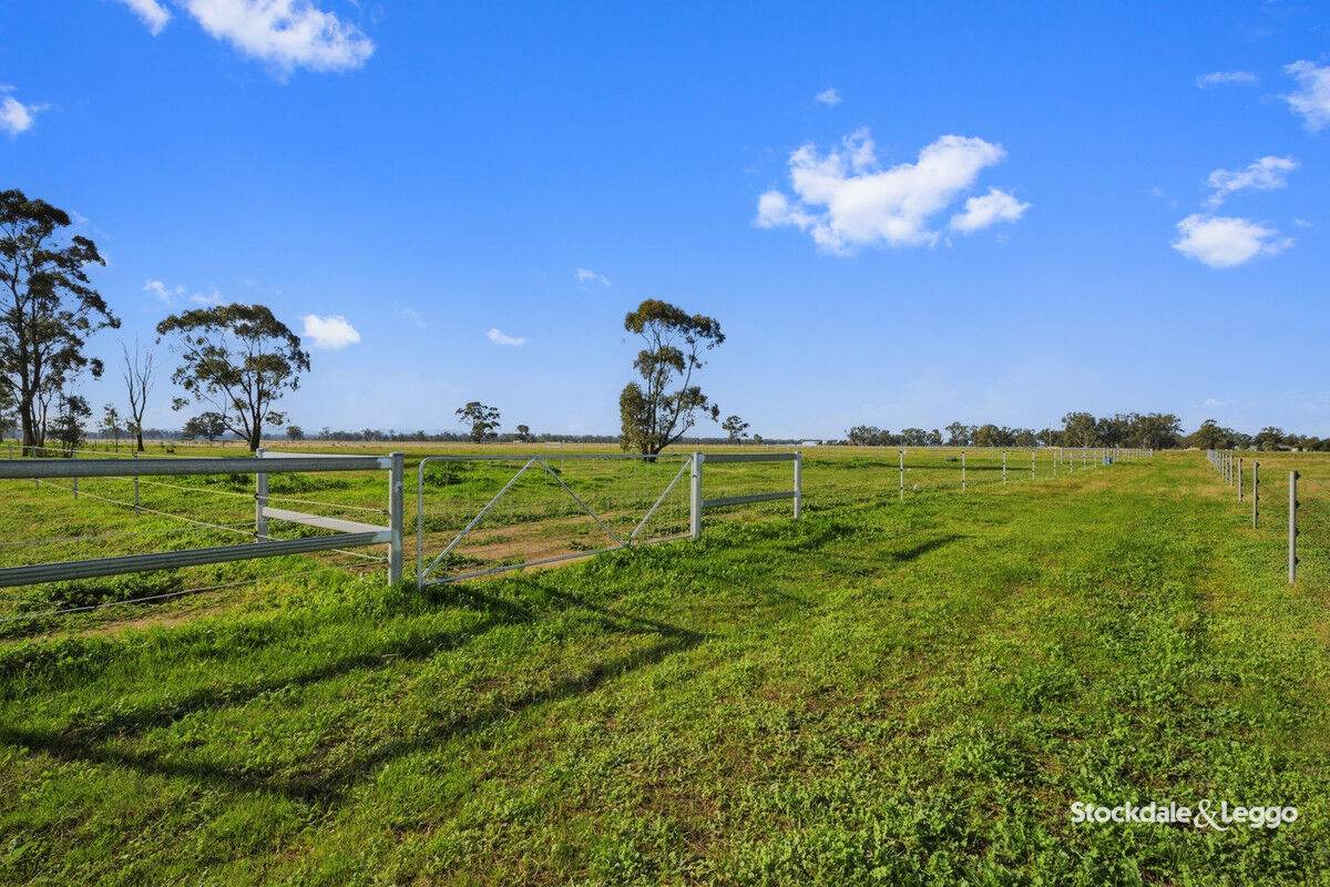 785 Bells Road, Caniambo For Sale by Farmbuy.com - image 23