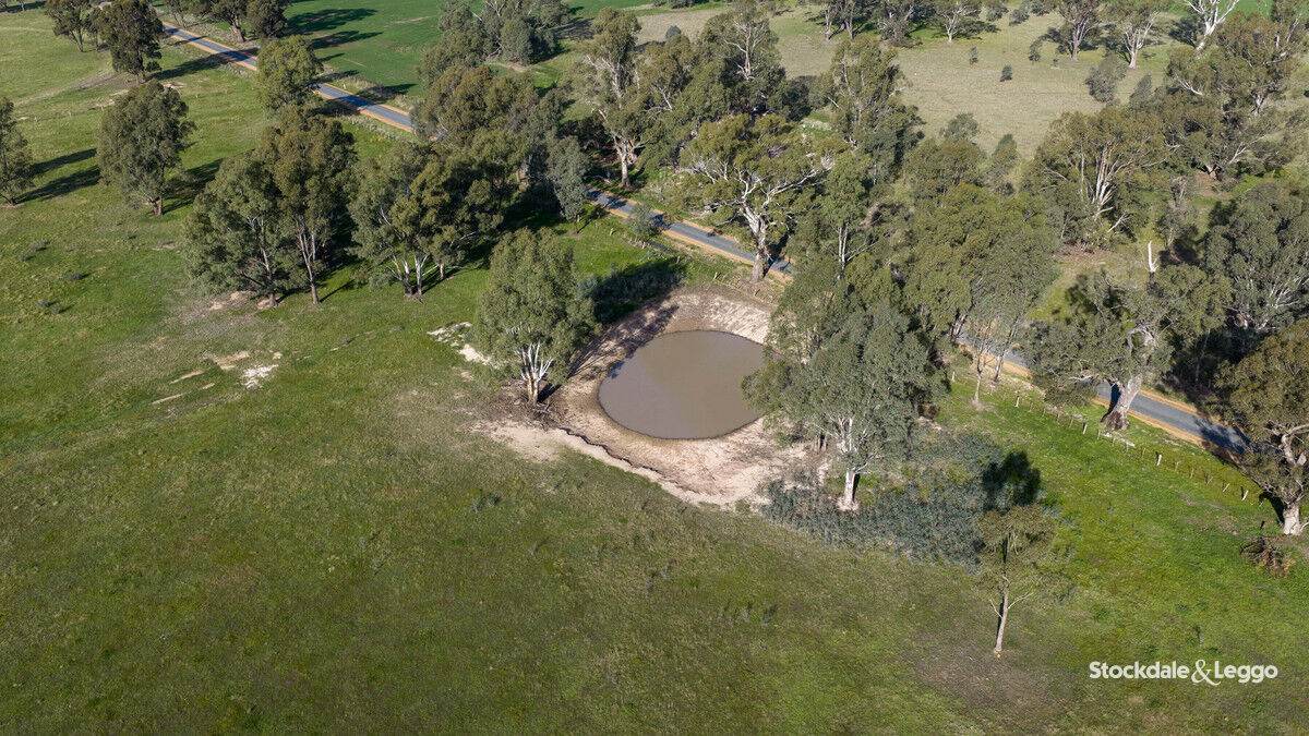 785 Bells Road, Caniambo For Sale by Farmbuy.com - image 21
