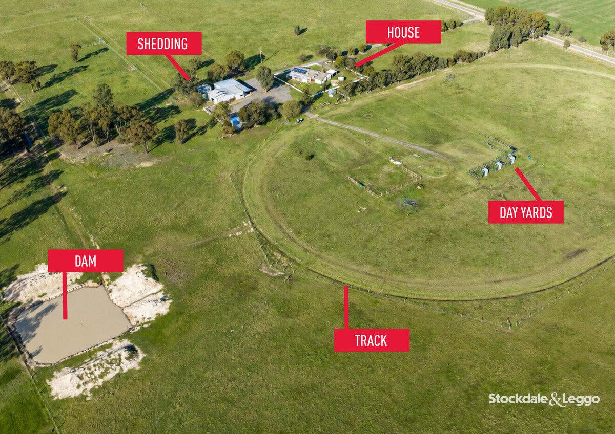 785 Bells Road, Caniambo For Sale by Farmbuy.com - image 5