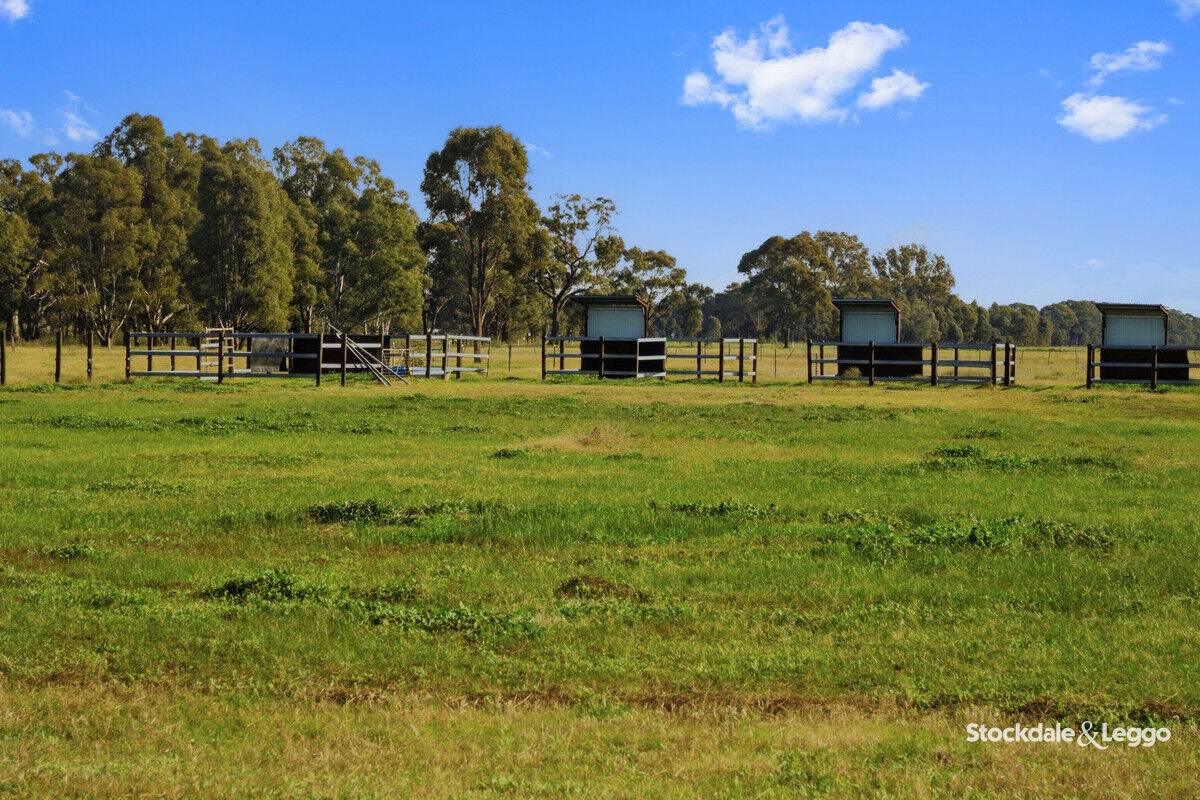 785 Bells Road, Caniambo For Sale by Farmbuy.com - image 26