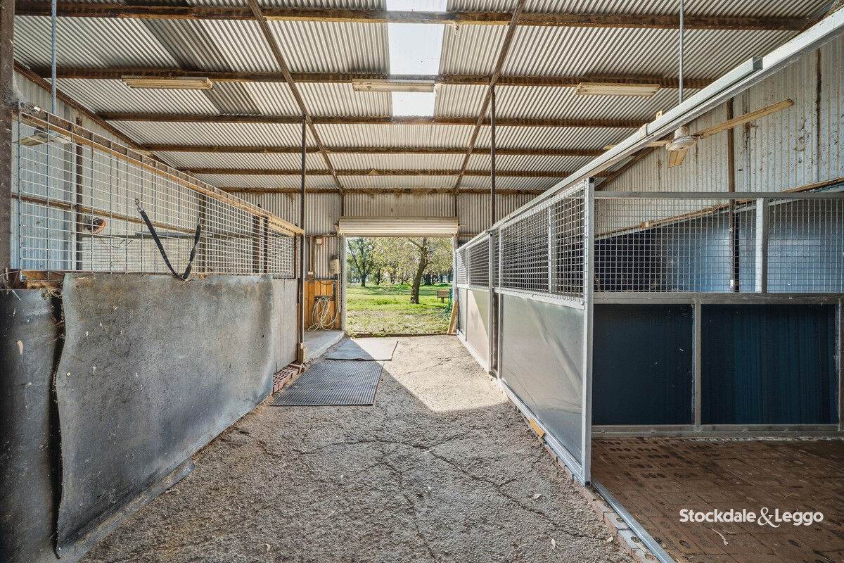 785 Bells Road, Caniambo For Sale by Farmbuy.com - image 19