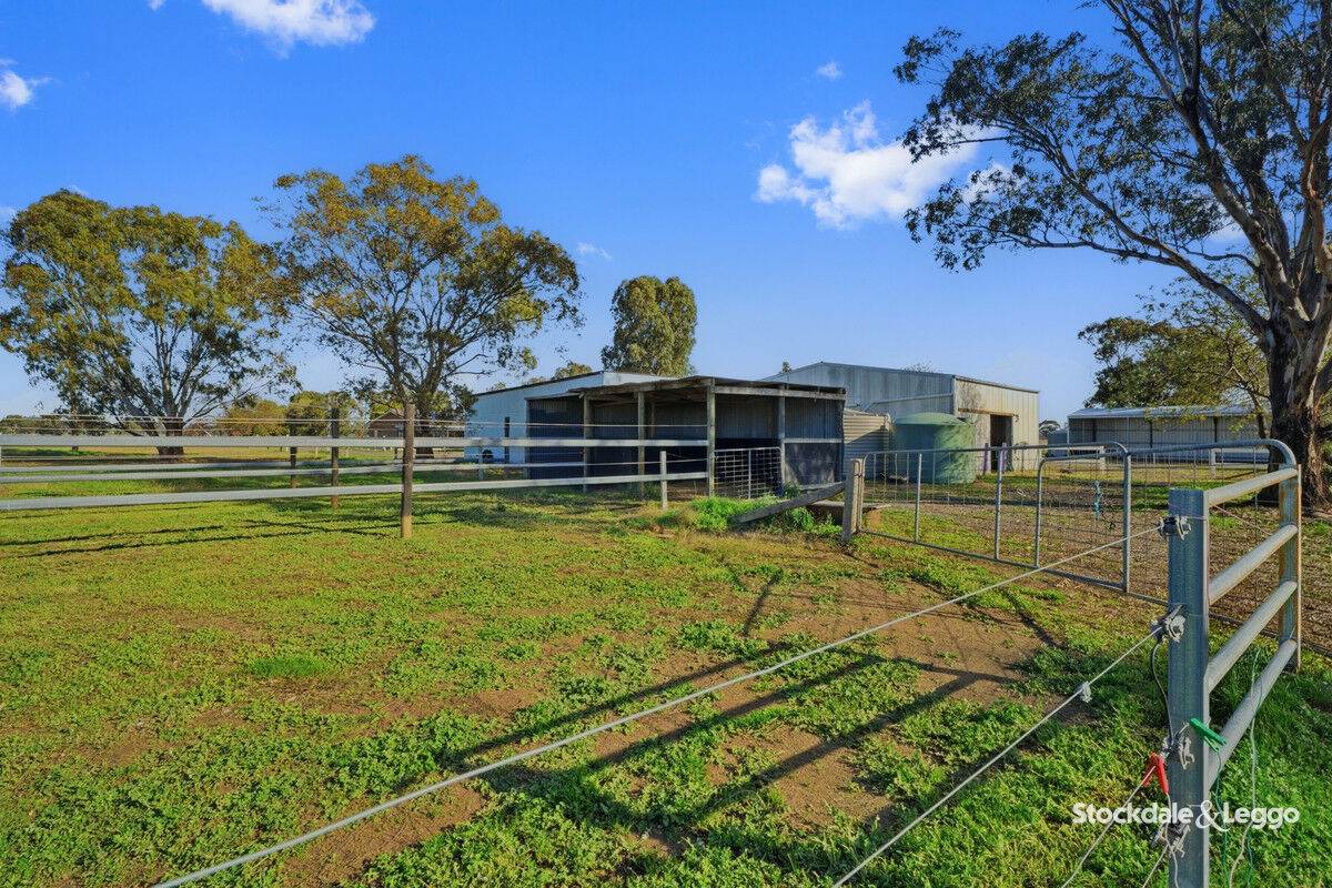 785 Bells Road, Caniambo For Sale by Farmbuy.com - image 22