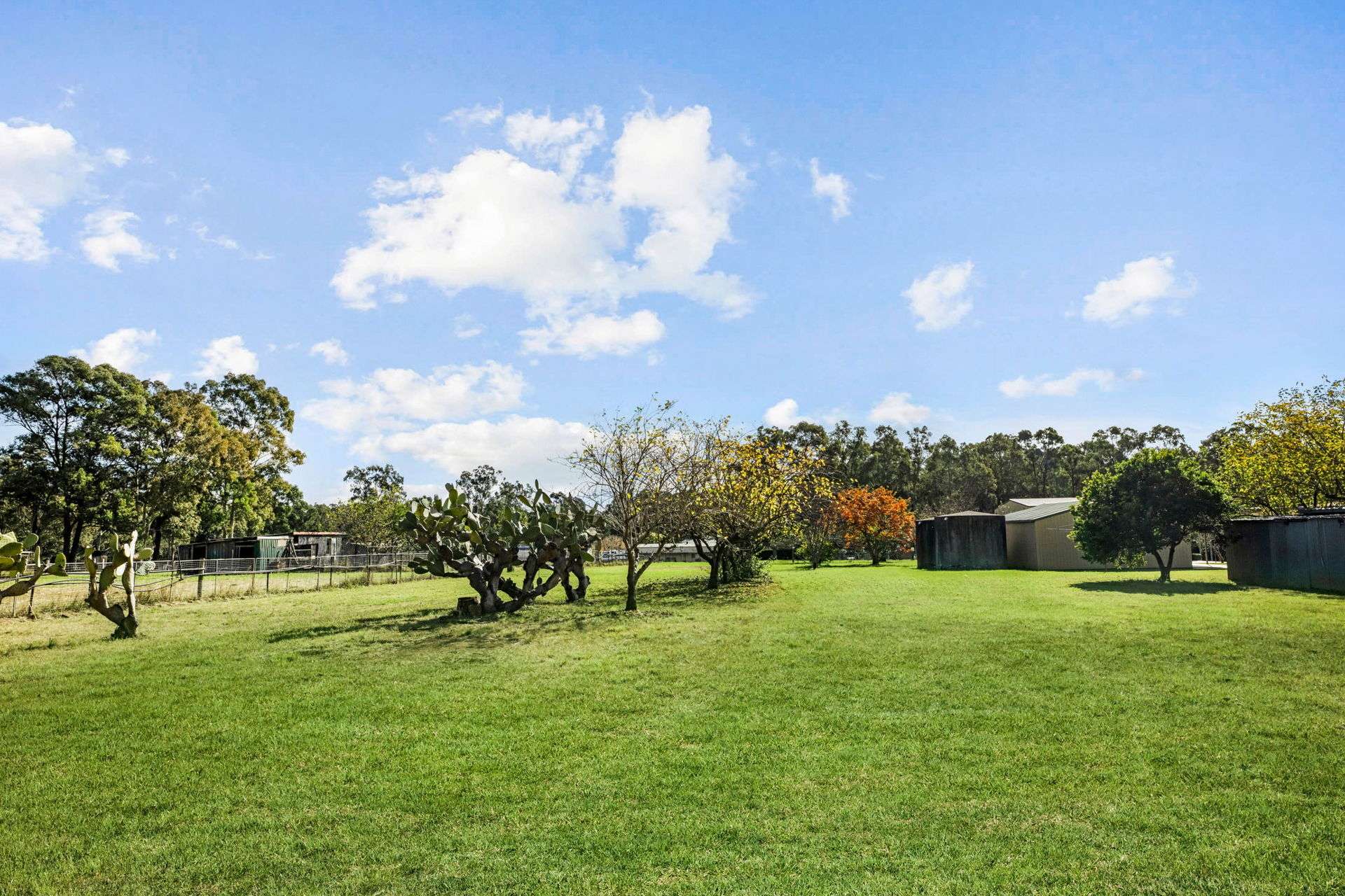125 Theresa View Road, Theresa Park Auction by Farmbuy.com - image 22