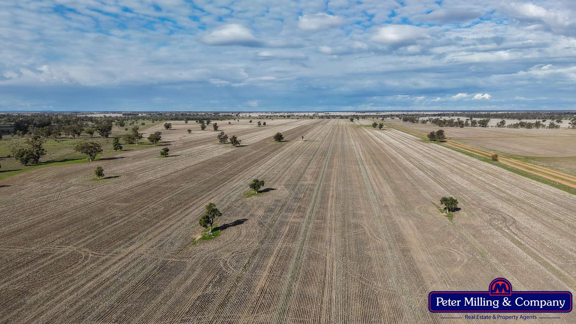 531 Merrigal Road, Collie For Sale by Farmbuy.com - image 7