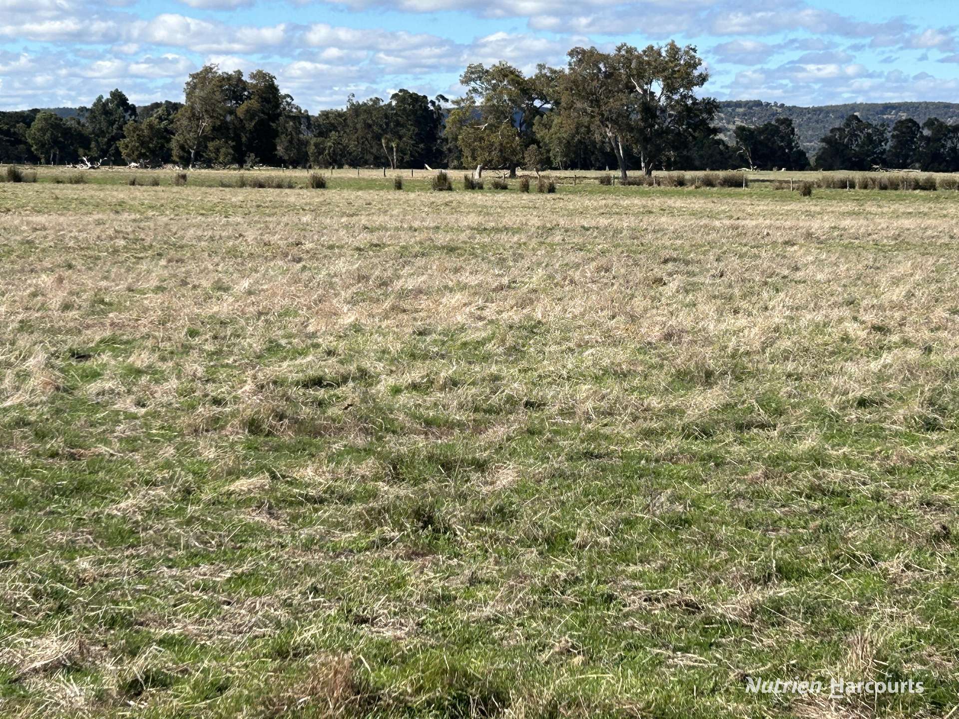 404 Readhead Road, North Dandalup For Sale by Farmbuy.com - image 4