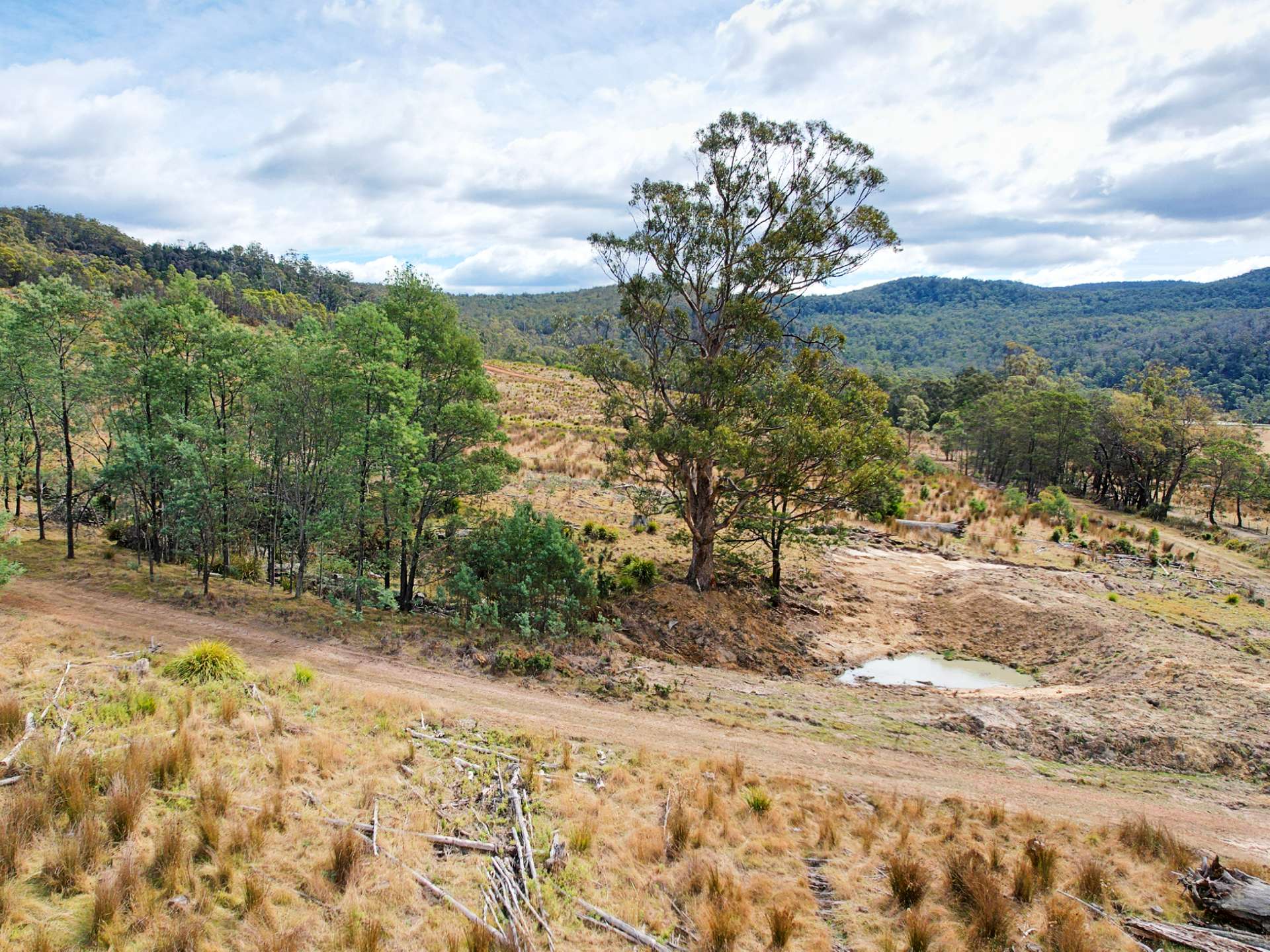 Lot 12, 524 Rosedale Road, Bicheno For Sale by Farmbuy.com - image 4