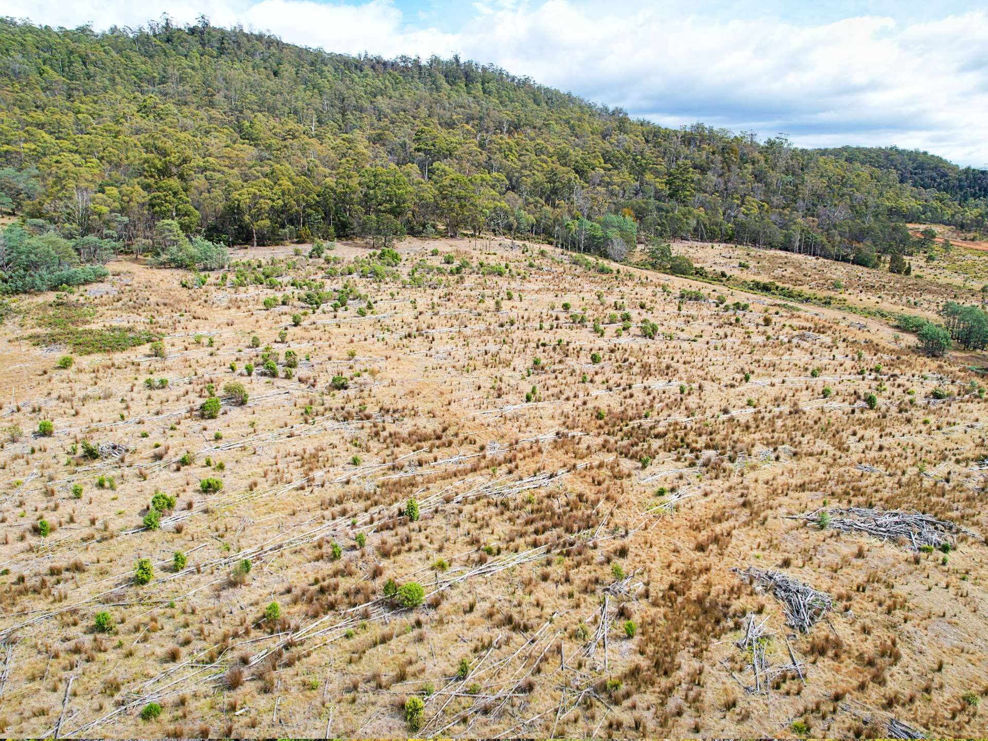 Lot 12, 524 Rosedale Road, Bicheno For Sale by Farmbuy.com - image 6