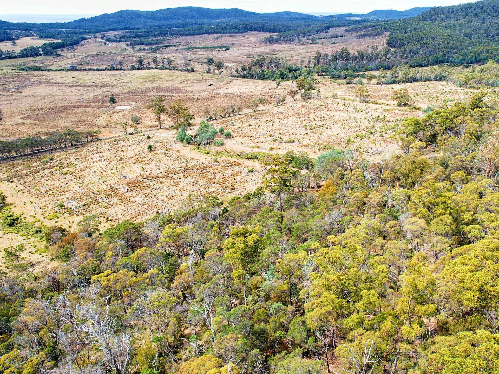 Lot 12, 524 Rosedale Road, Bicheno For Sale by Farmbuy.com - image 5