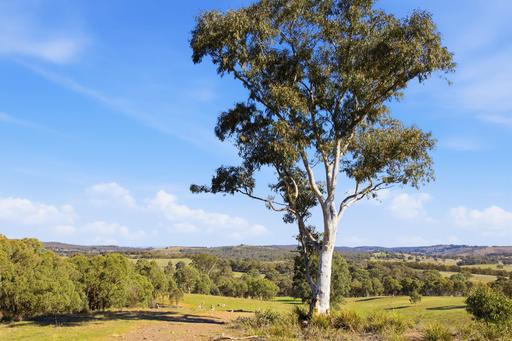 Lot 1/872 Dicks Creek Road, Murrumbateman NSW 2582