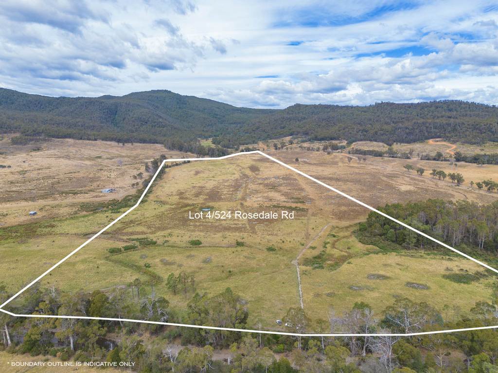 Lot 4, 524 Rosedale Road, Bicheno TAS 7215