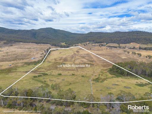 Farm For Sale - TAS - Bicheno - 7215 - Idyllic Riverfront Acreage with Unlimited Potential 